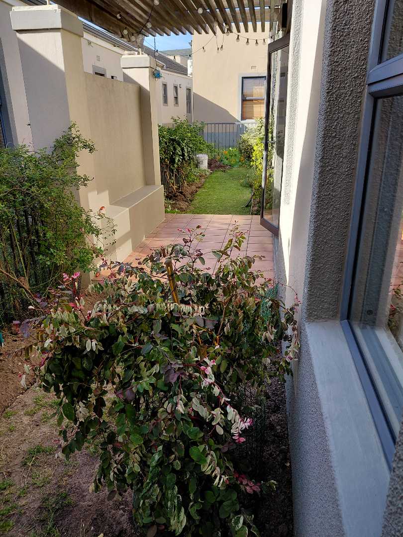 To Let 3 Bedroom Property for Rent in Plattekloof Western Cape